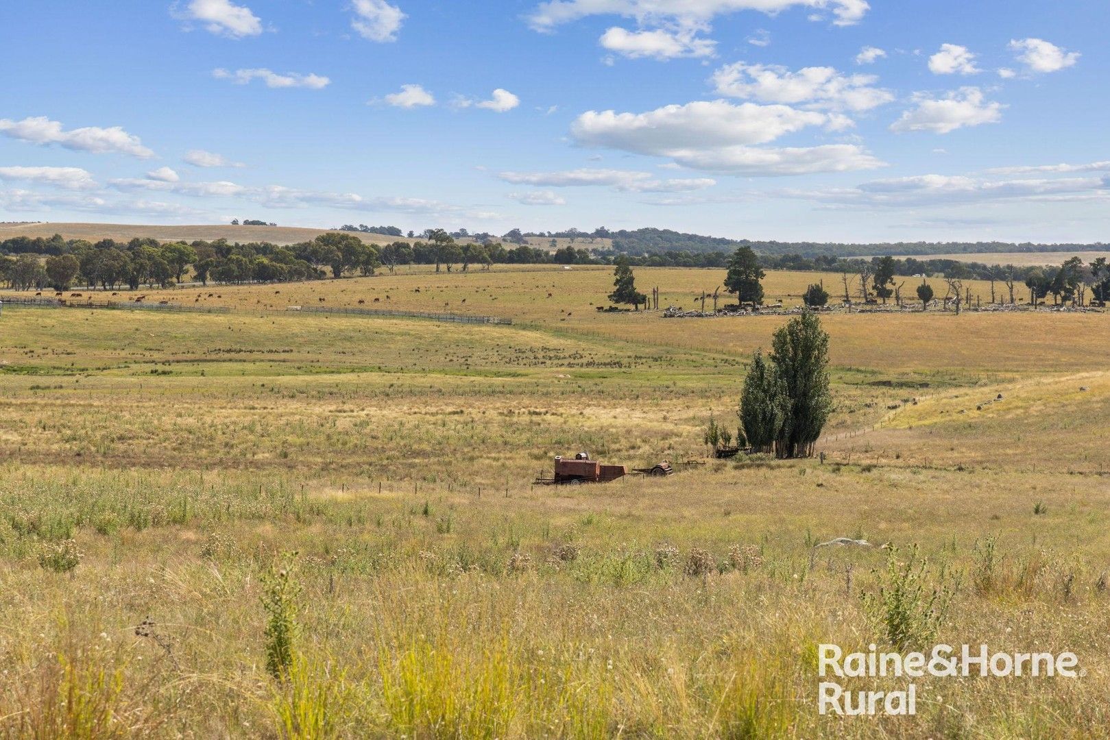 714 Murringo Road, Boorowa NSW 2586, Image 1