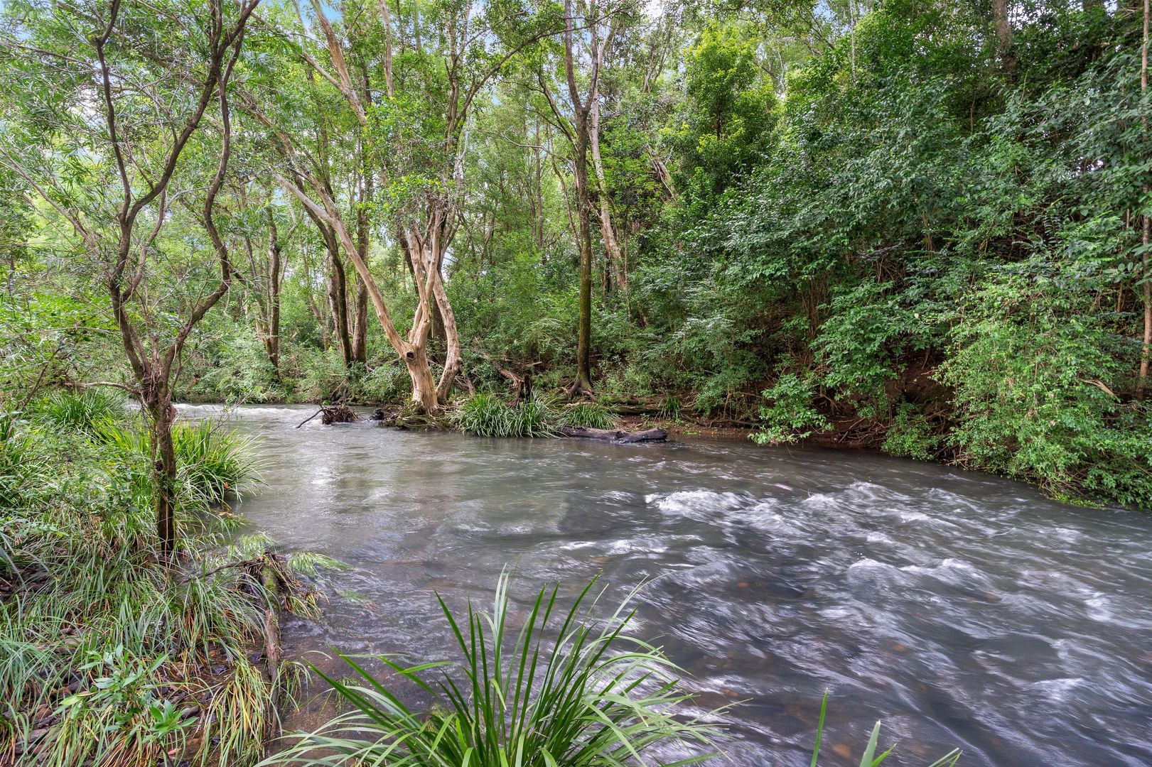 36 Wallace Road, The Channon NSW 2480, Image 1