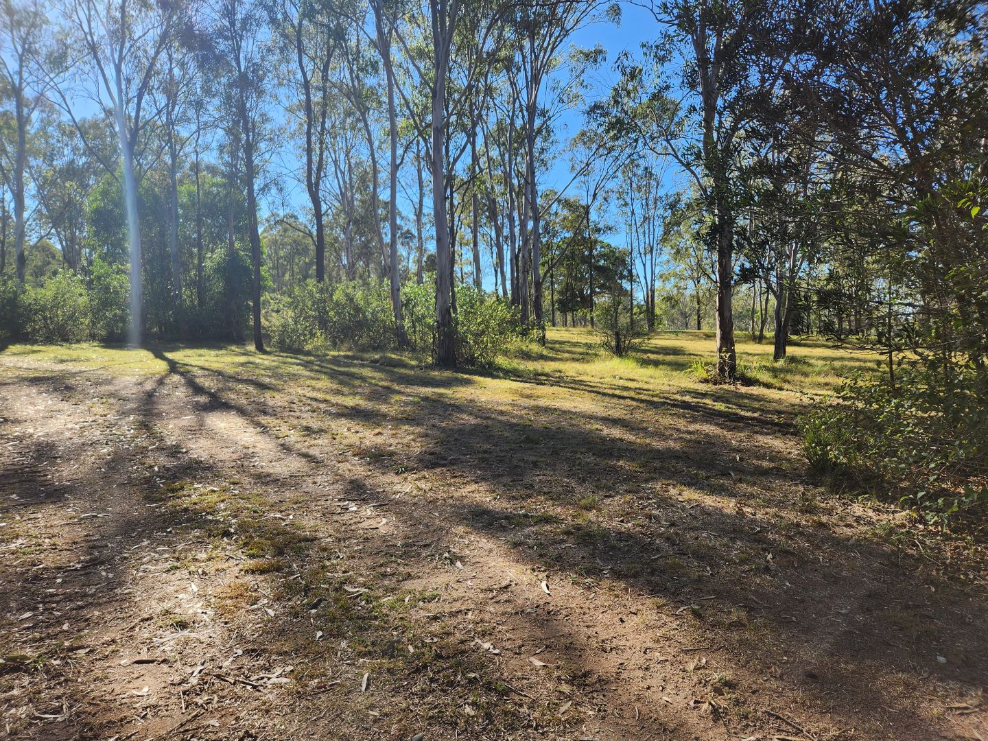 Lot 99 Beitzel Road, Nanango QLD 4615, Image 1