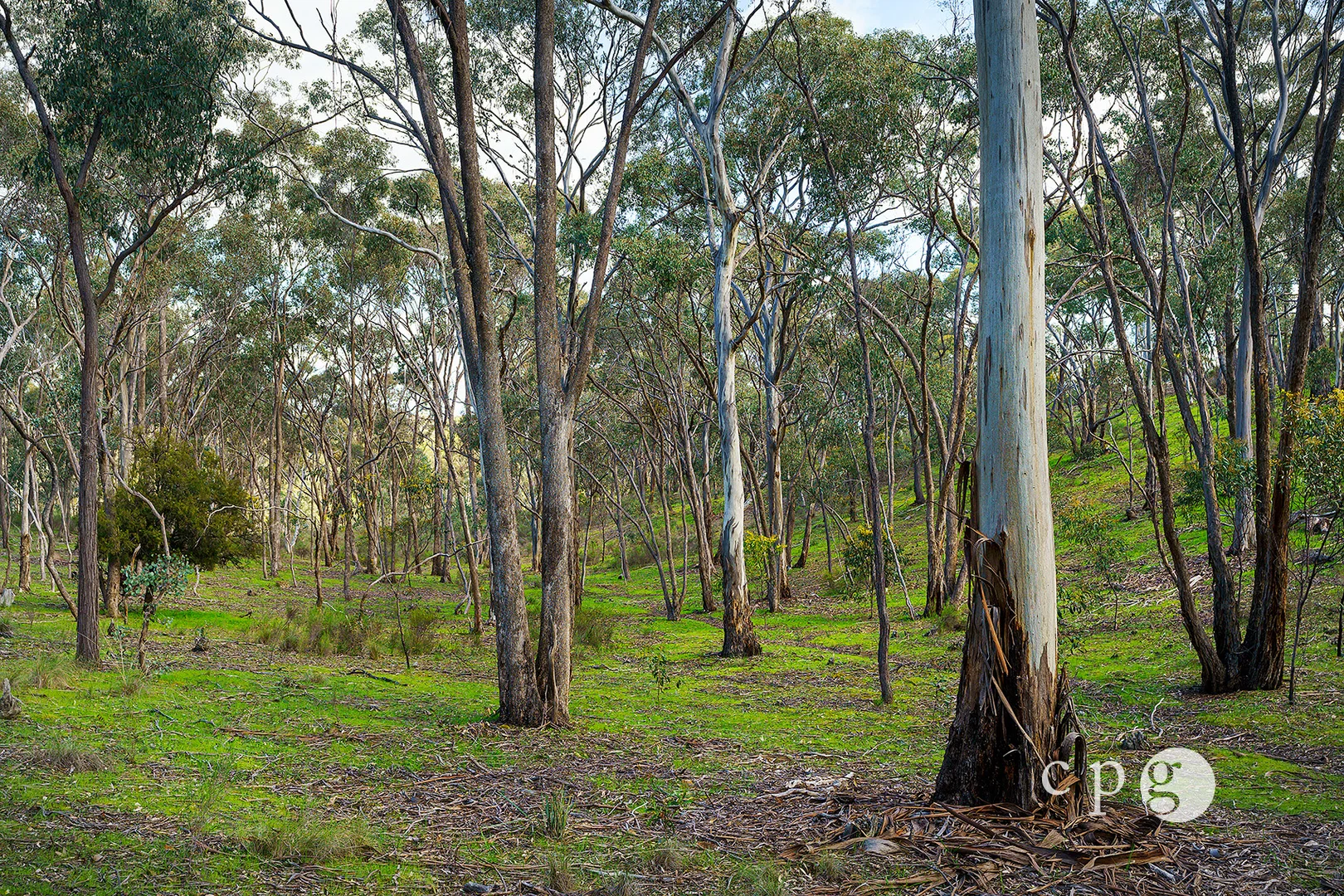Image 10