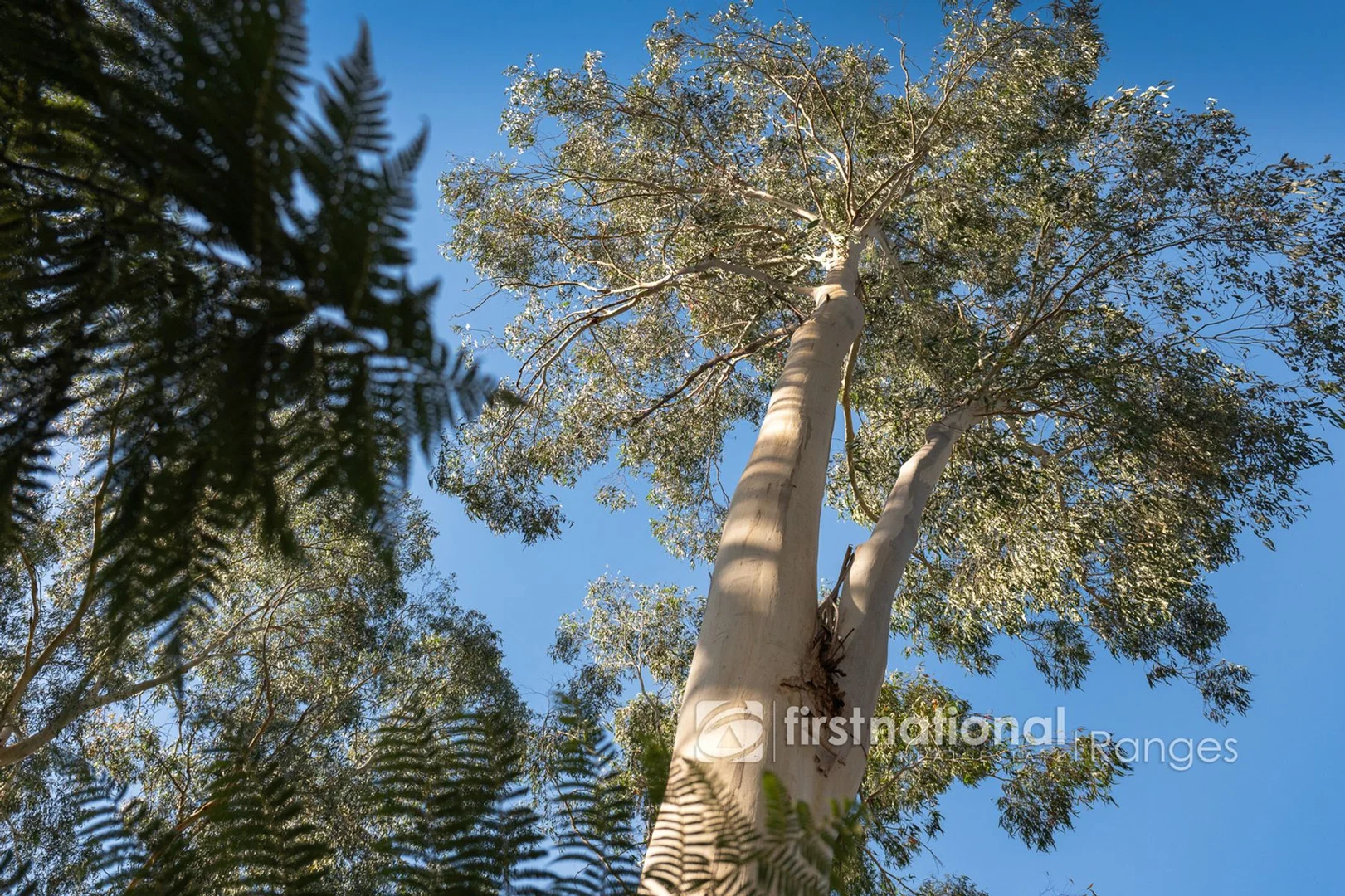 Additional image 15 of 140 Beenak Road, Gembrook VIC 3783