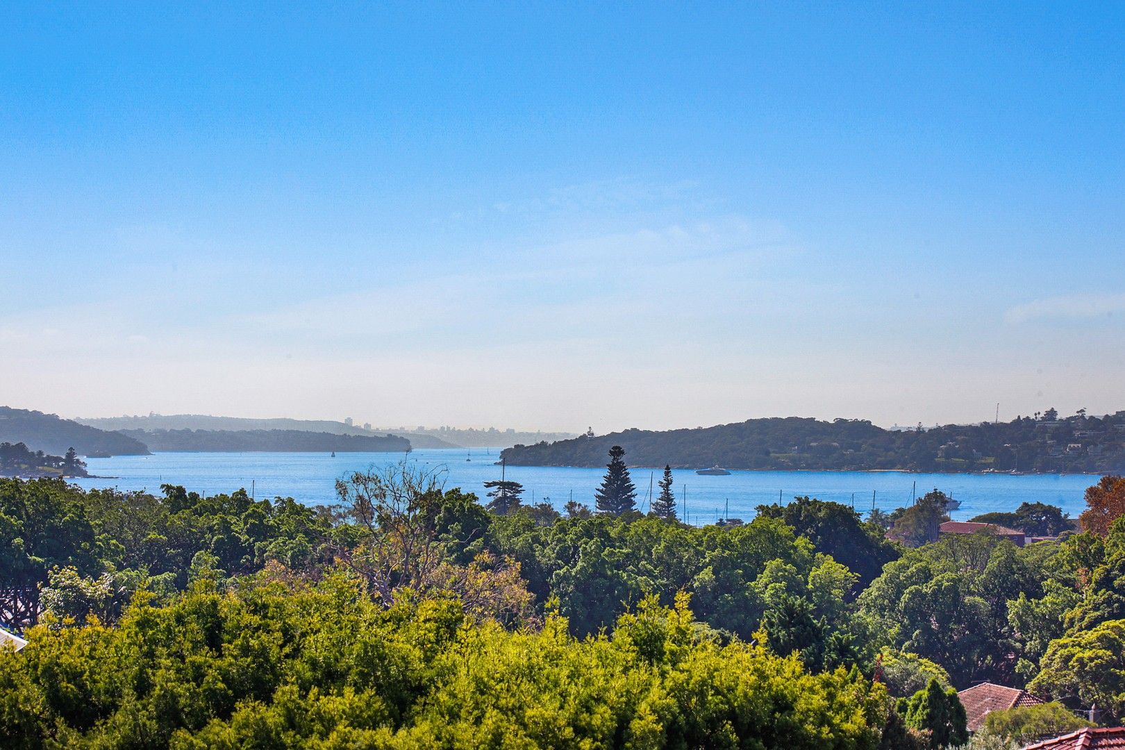 Bellevue Hill NSW 2023, Image 2