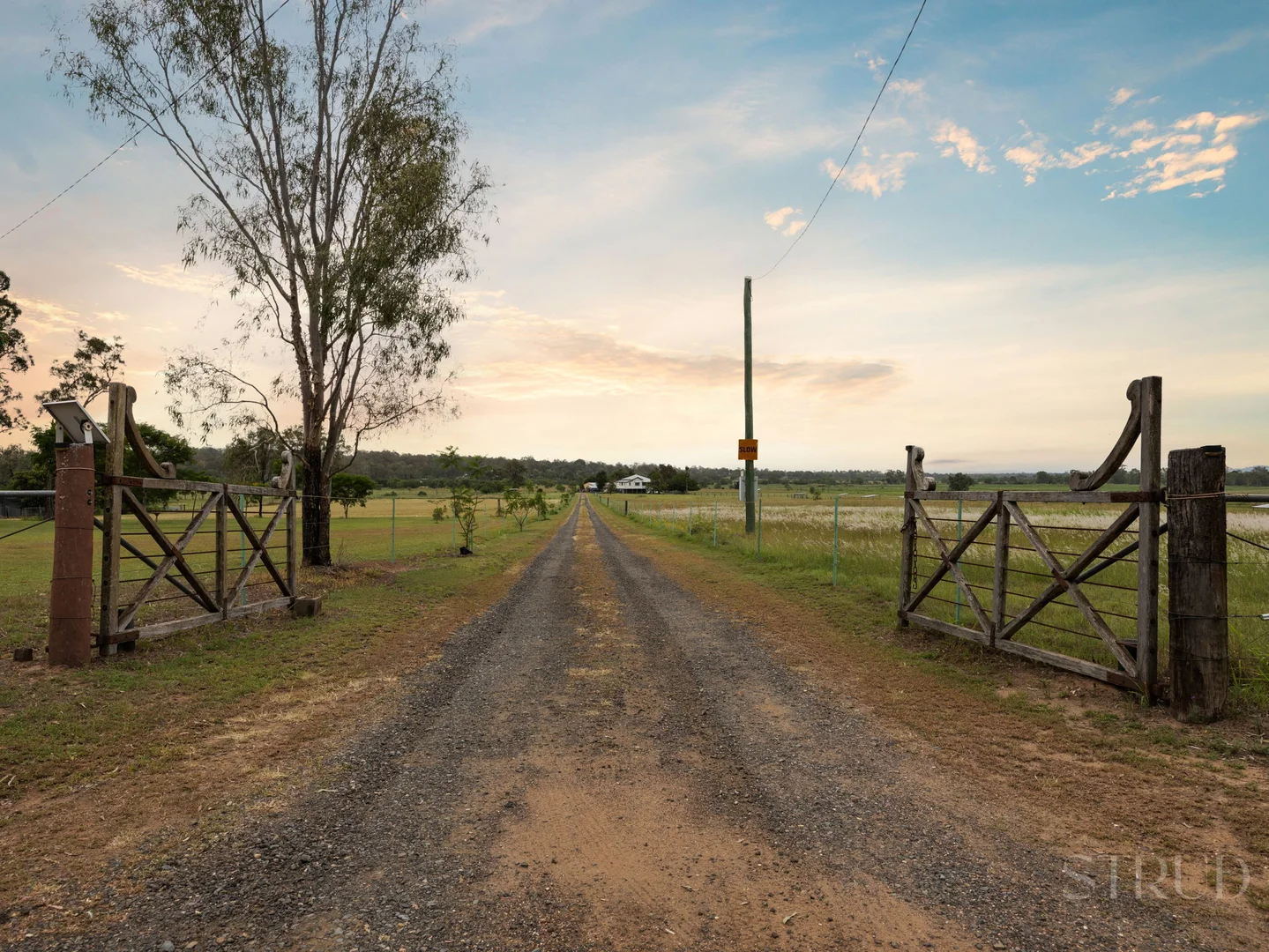 Image 22