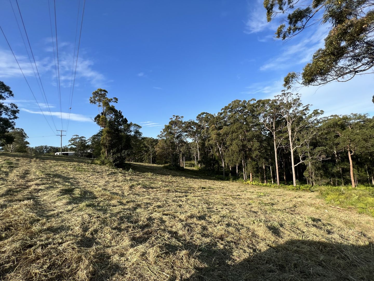 LOT 20/475 VERRIERDALE RD, Verrierdale QLD 4562, Image 2