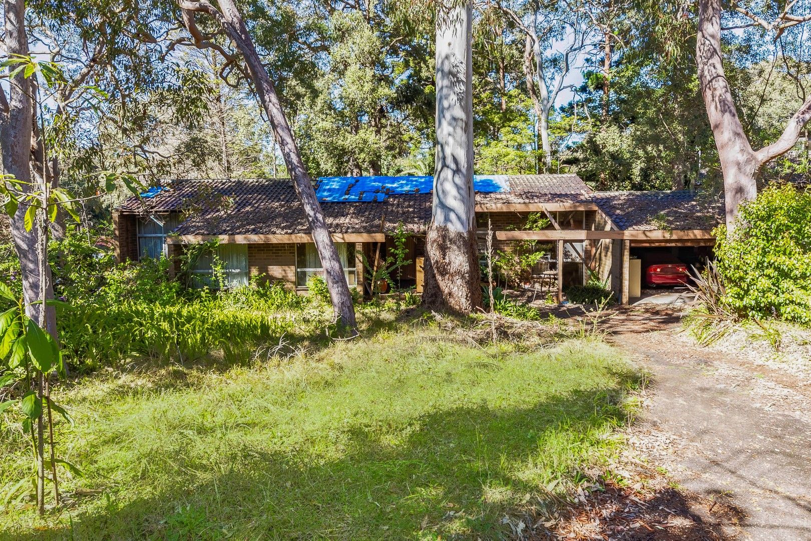 55 Hull Road, Beecroft NSW 2119, Image 0