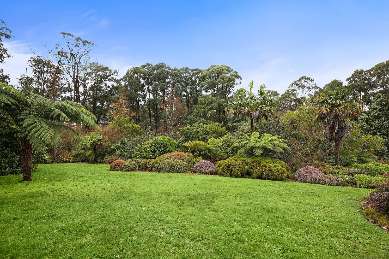 14 Thomson Avenue, Olinda VIC 3788, Image 1