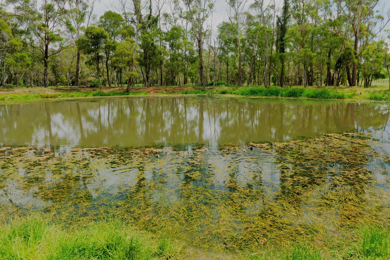 Image 13