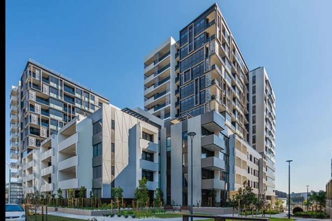 1347 Rental Properties In Lidcombe Nsw 2141 Domain