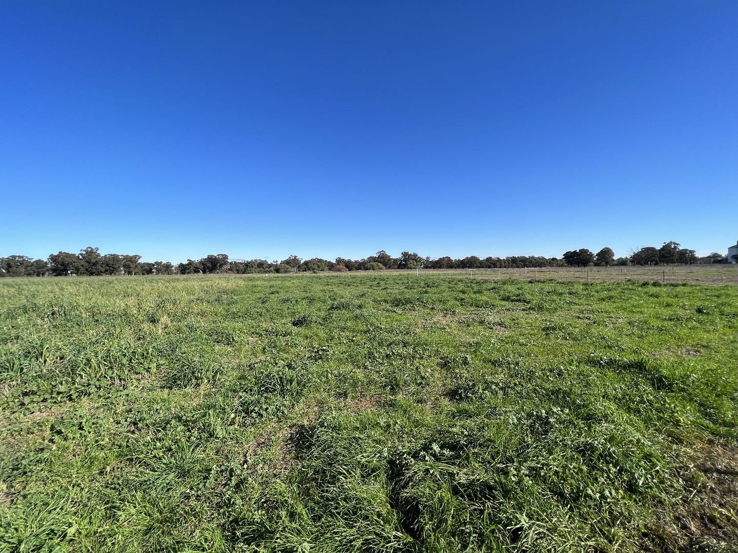 Vacant land in Lot 756 Strom Lane, EUGOWRA NSW, 2806