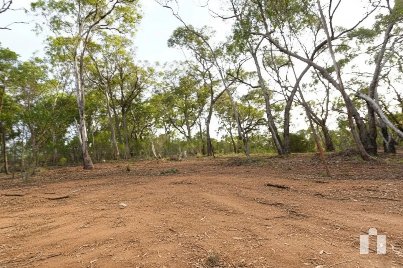 Image 15