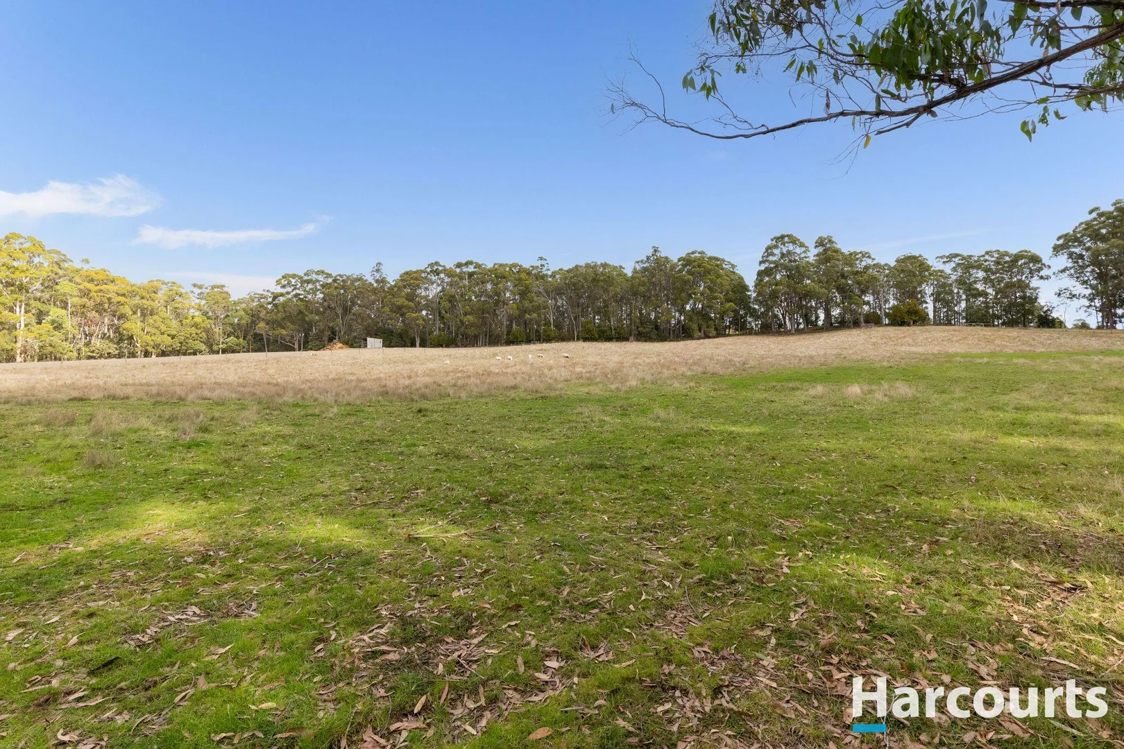 Image 34