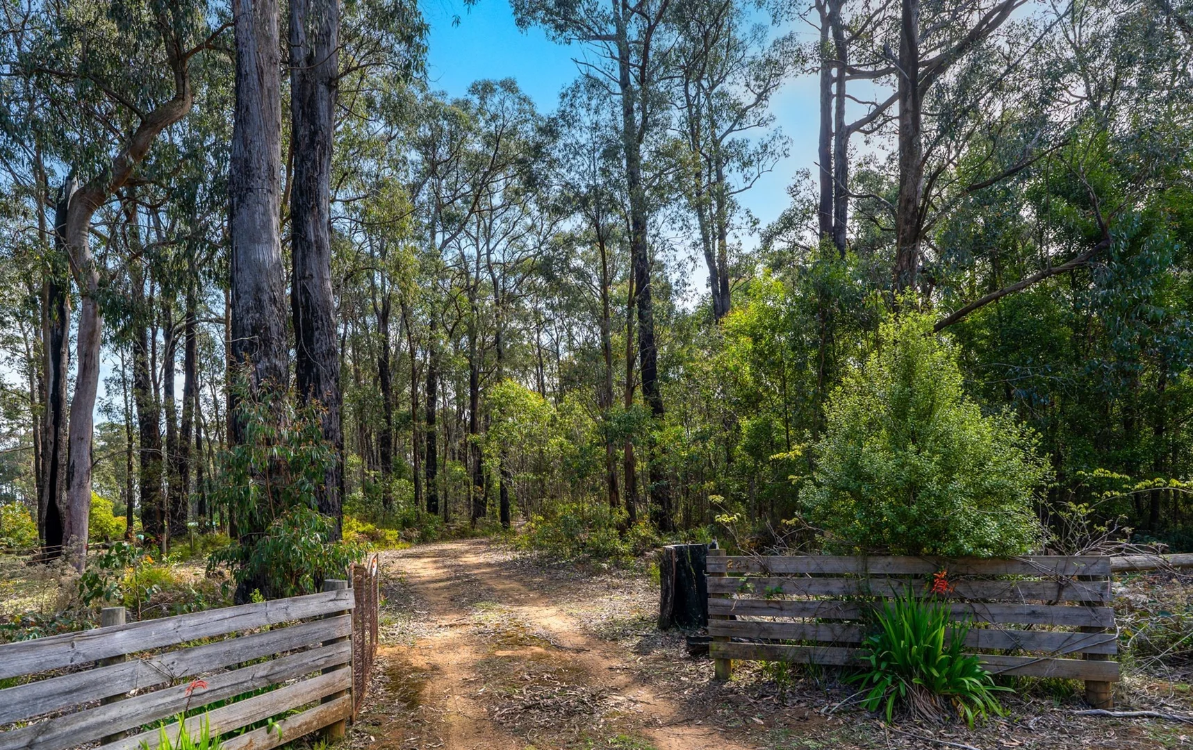 Additional image 2 of 224 Edenvale Crescent, Kinglake West VIC 3757