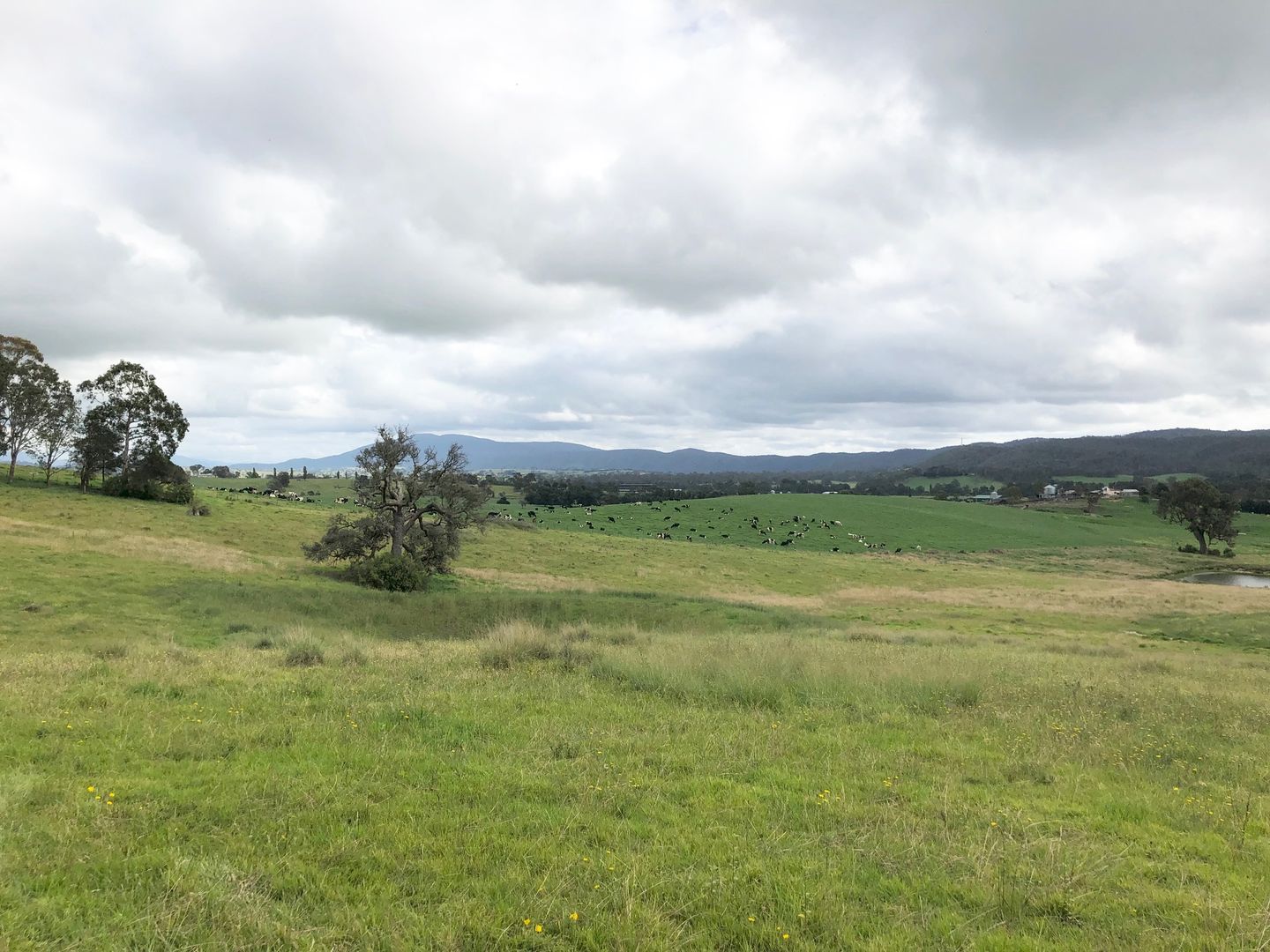 Lot 201 Barrumbarra Place, Bega NSW 2550, Image 1