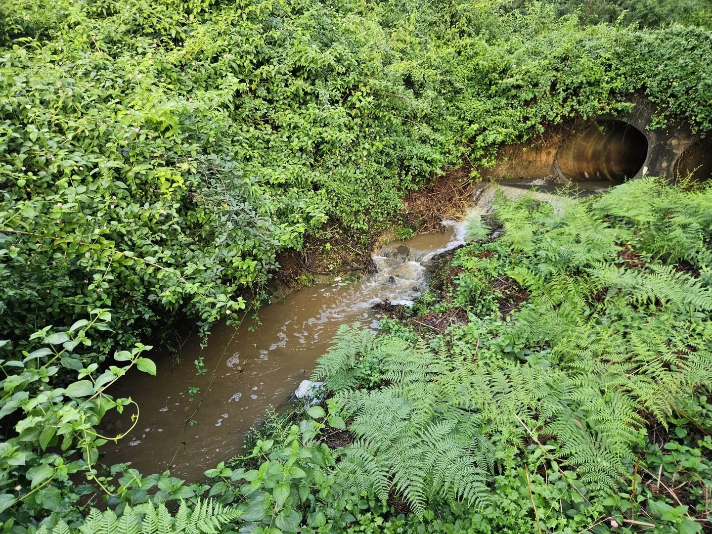 Image 18