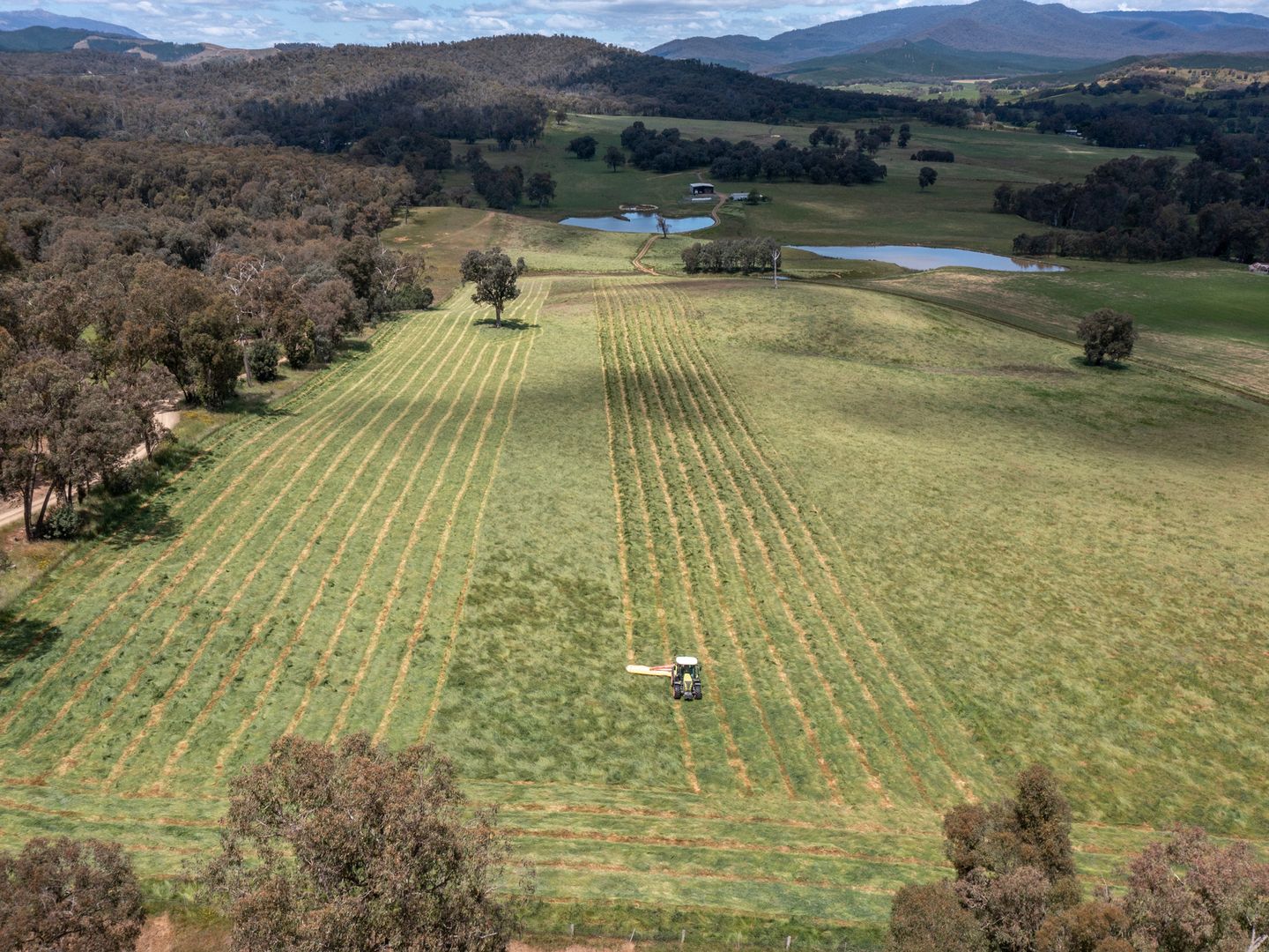 Waters Lane, Carboor VIC 3678, Image 1