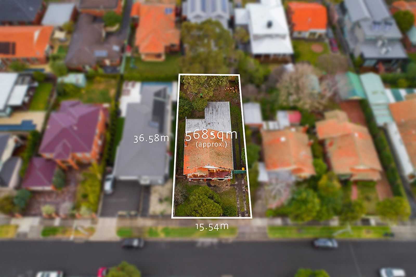 44 McLean Avenue, Bentleigh VIC 3204, Image 0