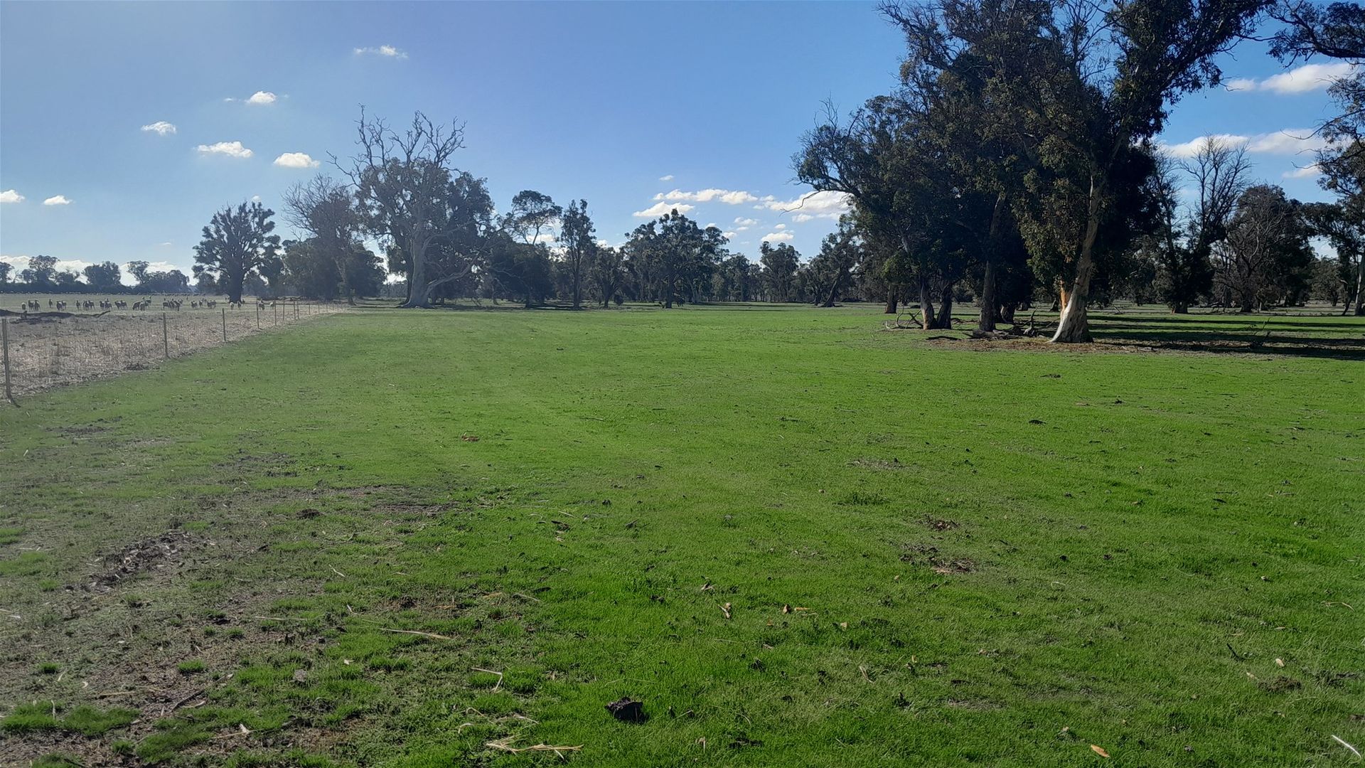 Lot 715/715 Mattiske Road, Katanning WA 6317, Image 1