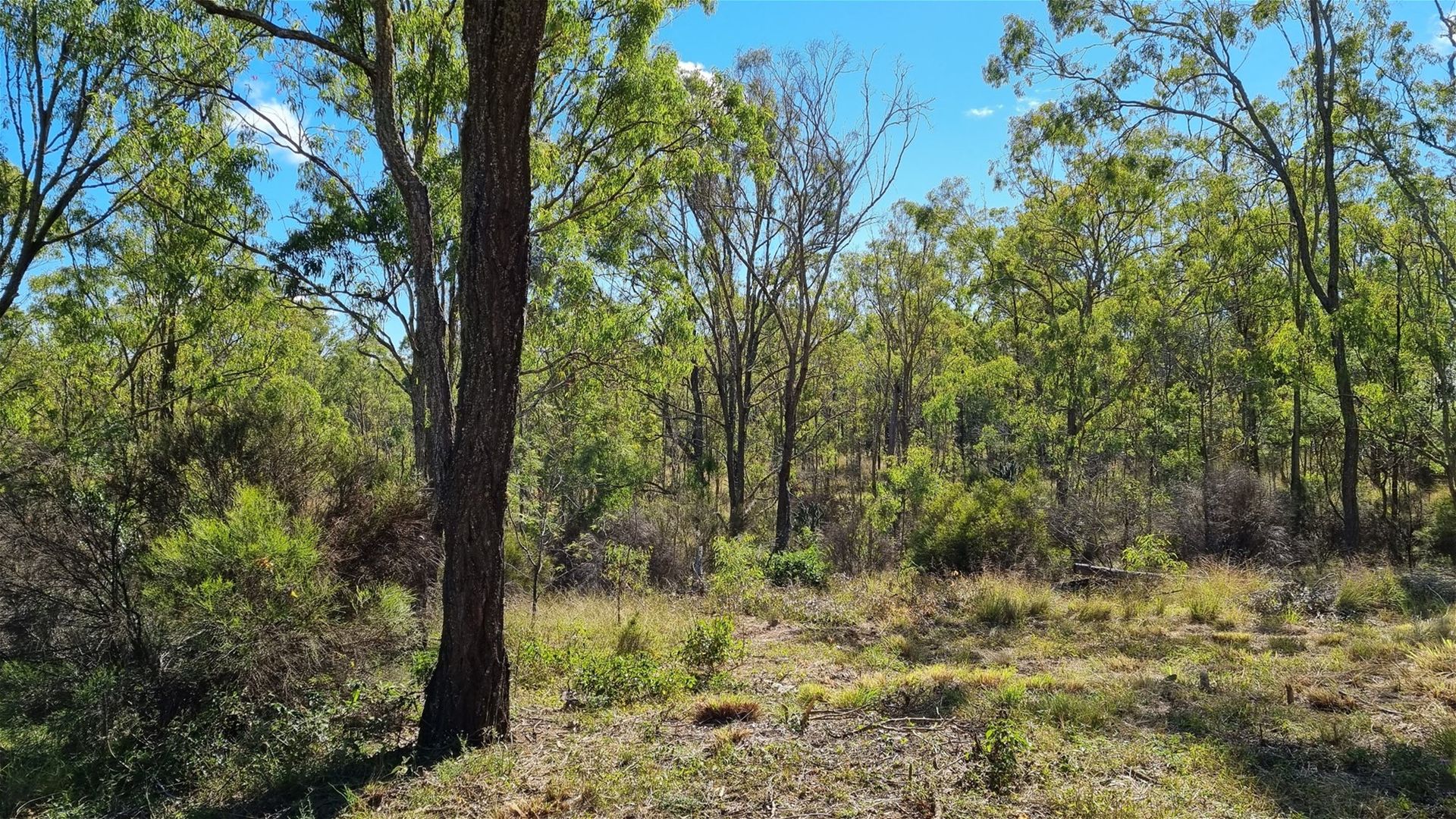 Lot 389 East Cooyar Road, Cooyar QLD 4402, Image 2