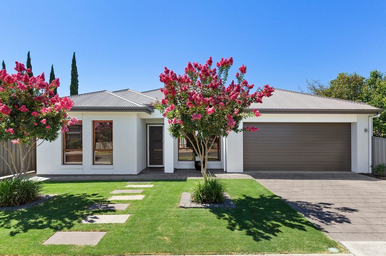 5 McEwin Avenue, North Plympton SA 5037 House For Rent Domain