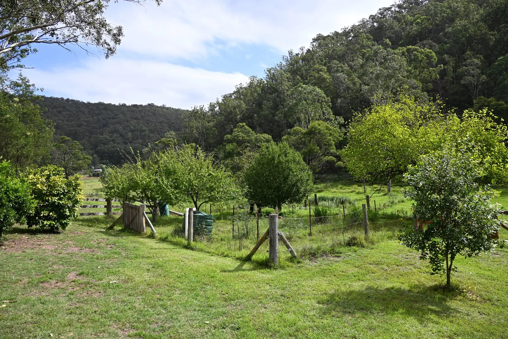 Additional image 25 of Upper Yango Ck Rd, Laguna NSW 2325