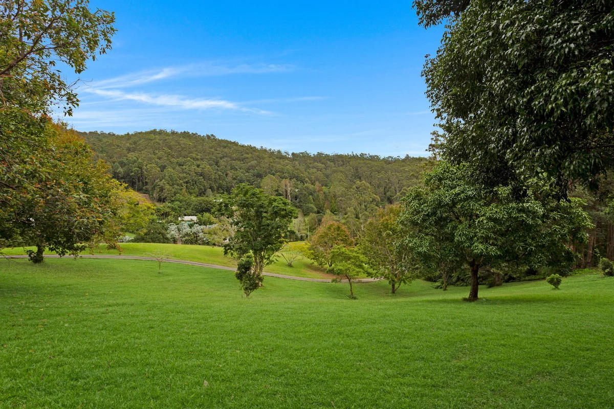 Additional image 5 of 117B Petsch Creek Road, Tallebudgera Valley QLD 4228