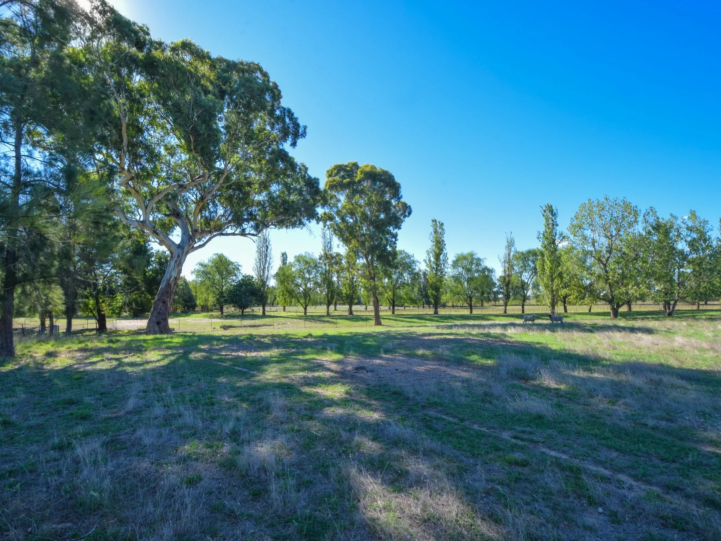 Additional image 23 of 65 Maimuru Rd, Maimuru NSW 2594