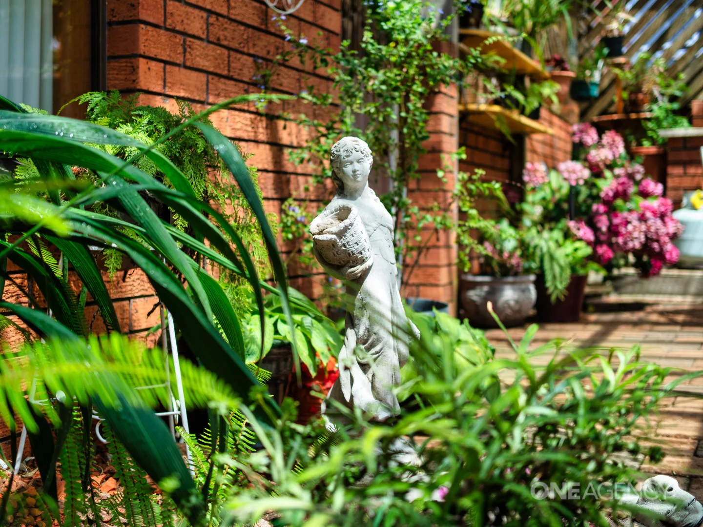 Image 13