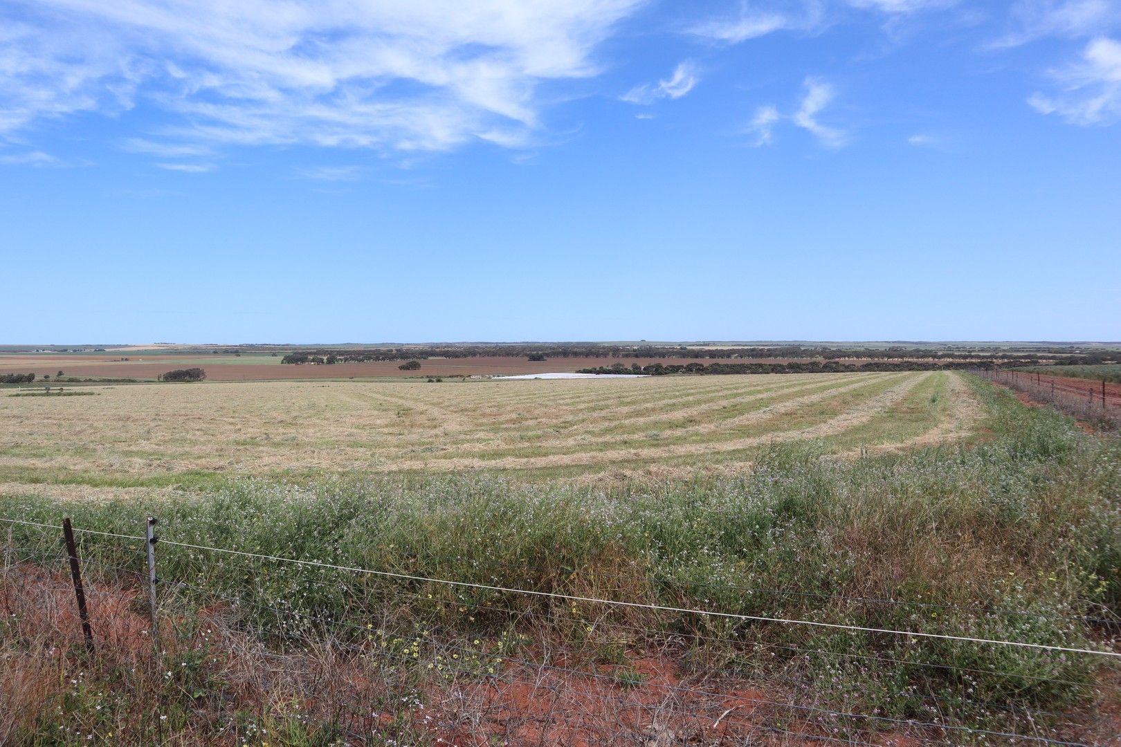 Lot 2451 Arthur Road, Walkaway WA 6528 - Farm for Sale | Domain