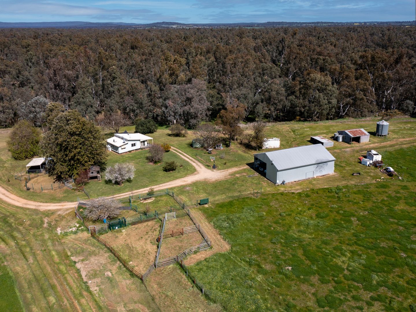 370 Carmody Road, Boorhaman North VIC 3685, Image 2