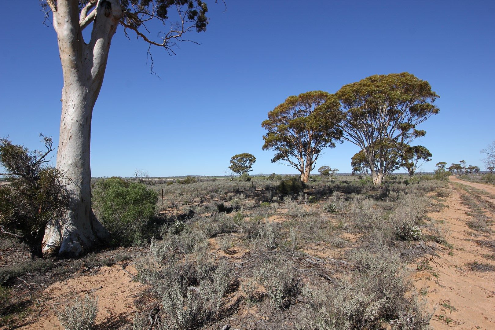 Lot 19997 Pontifex Road, Baandee WA 6412, Image 0