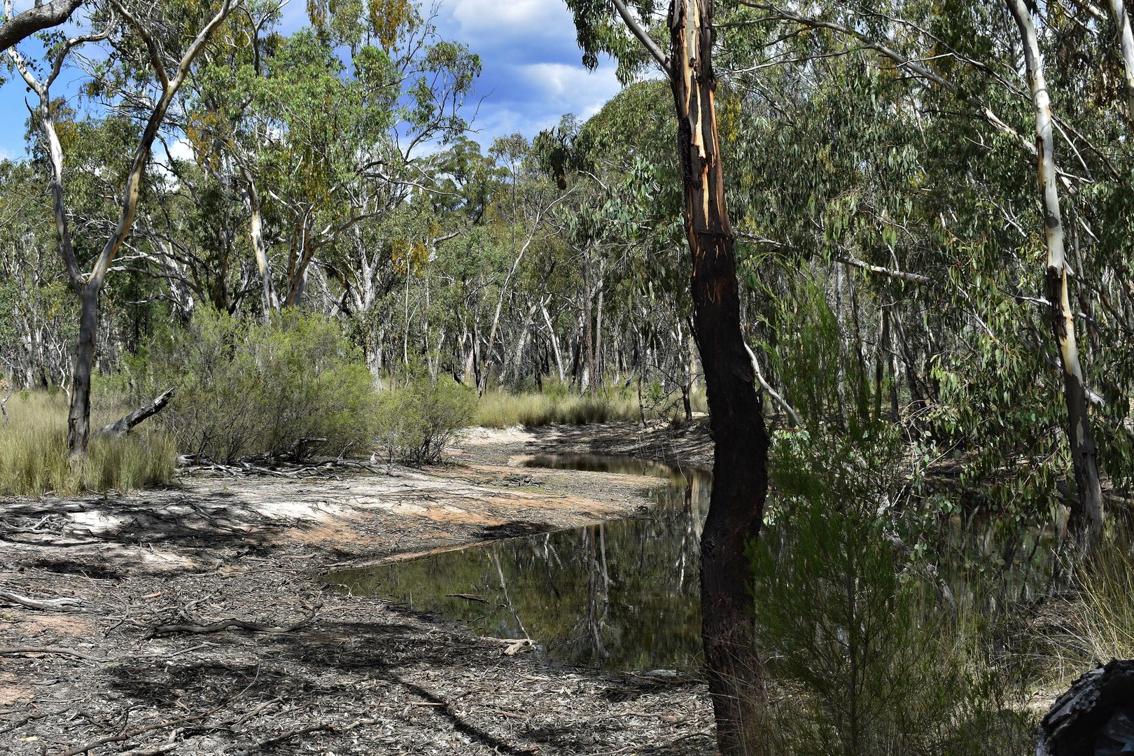 886 Stannifer Road, Stannifer NSW 2369, Image 1