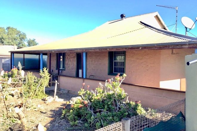 Picture of 272 Coorabie Road, COORABIE SA 5690