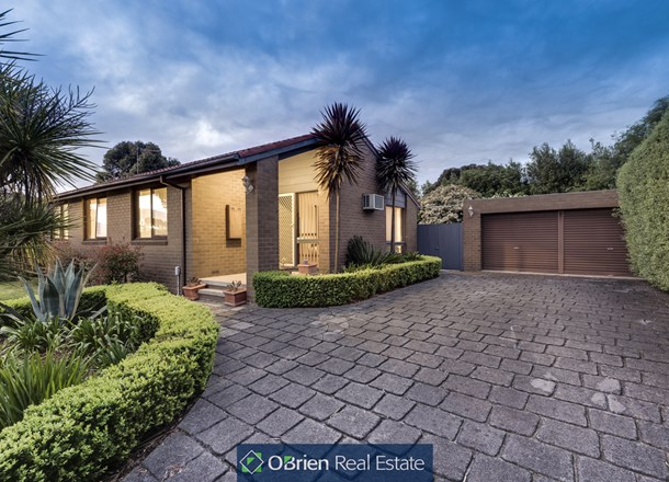 66 Essex Park Drive, Endeavour Hills VIC 3802