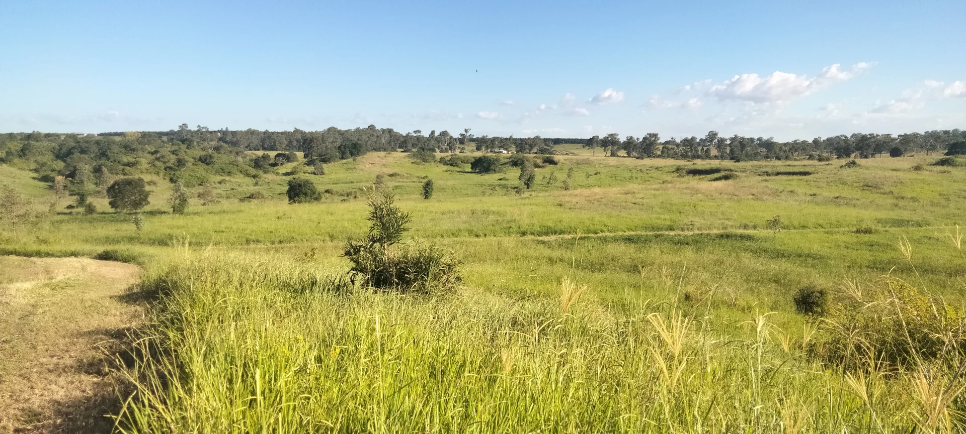 Additional image 23 of 808 Pine Creek Road, Givelda QLD 4670