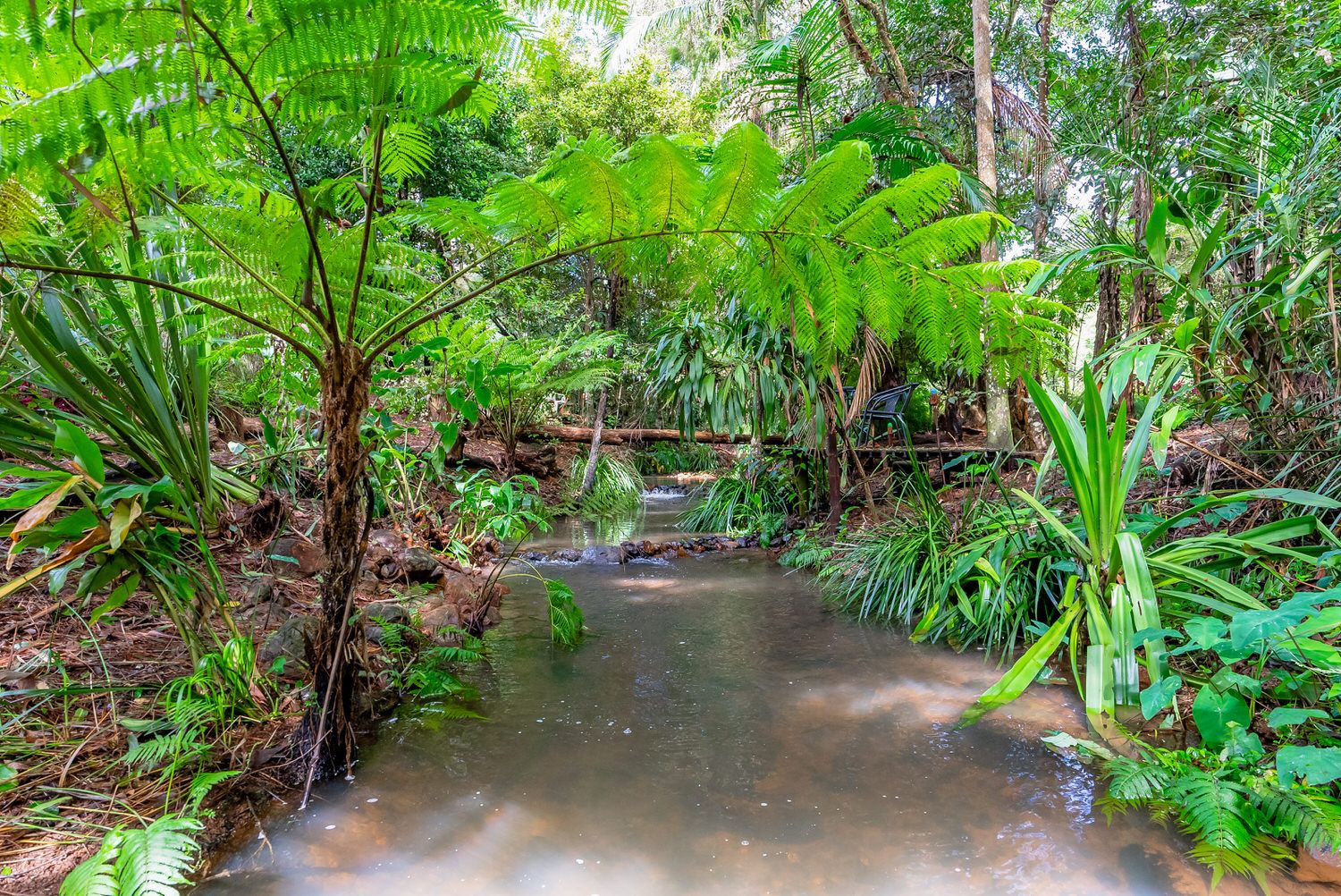 57 Treehaven Way, Maleny QLD 4552, Image 0