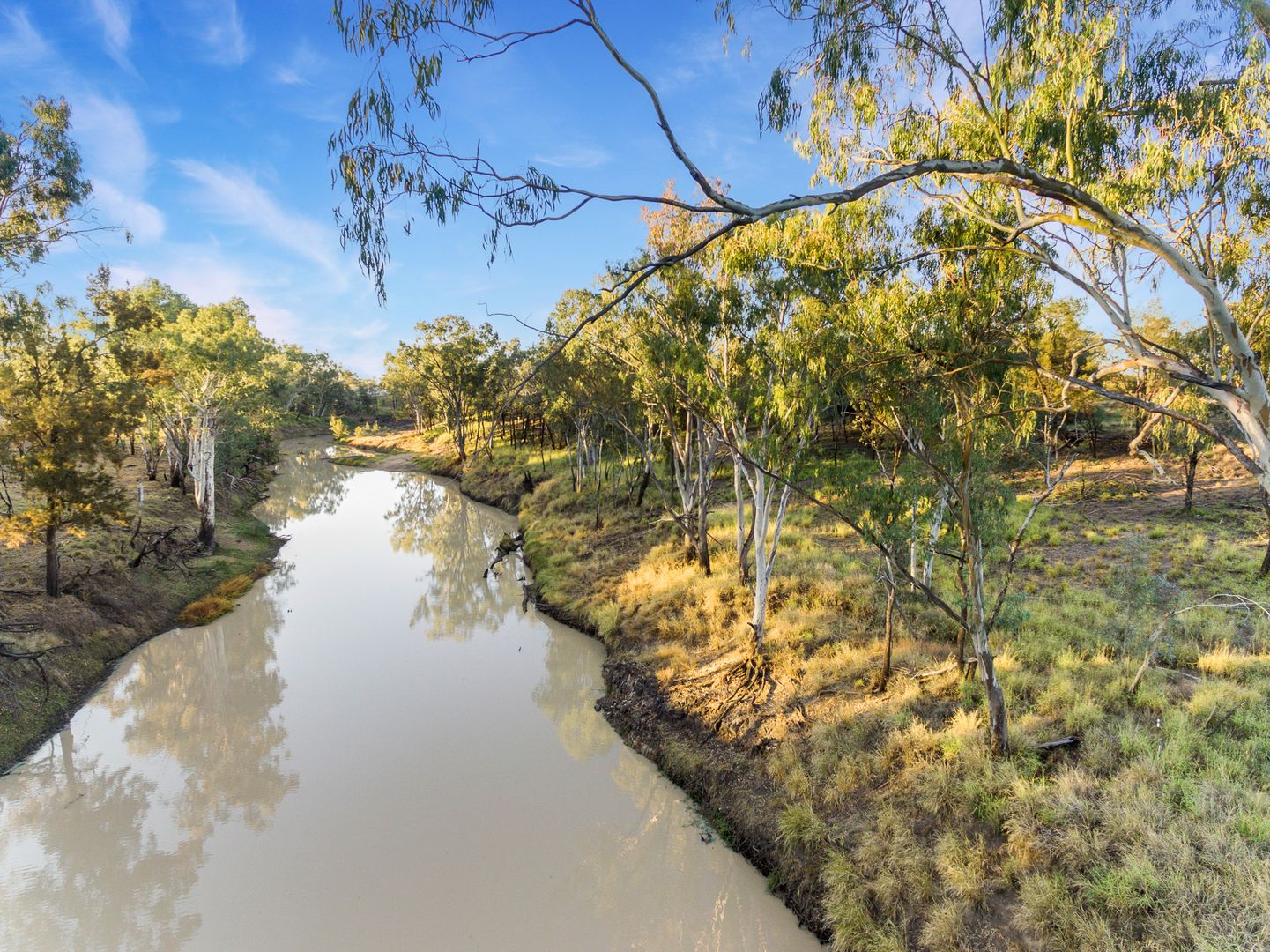 Condamine QLD 4416 House for Sale 595,000 Domain