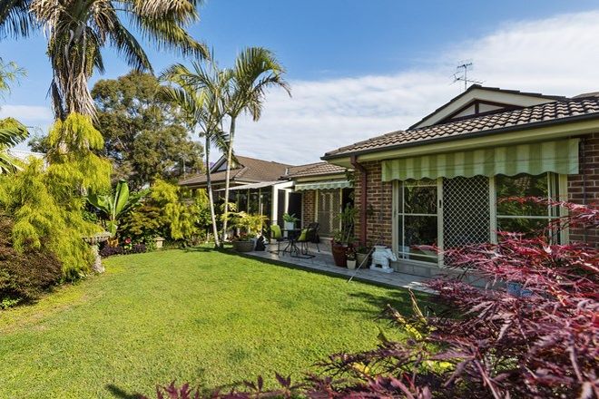 Picture of 14B Vineyard Street, MONA VALE NSW 2103