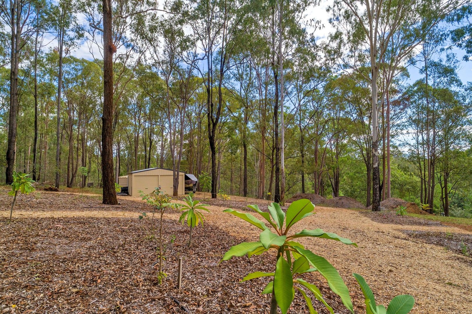 Lot 111 Trotter Road, Glenwood QLD 4570, Image 0