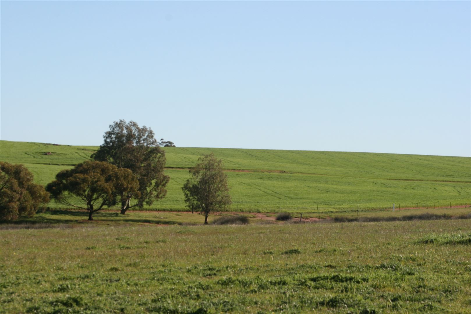 Grass Valley WA 6403, Image 1