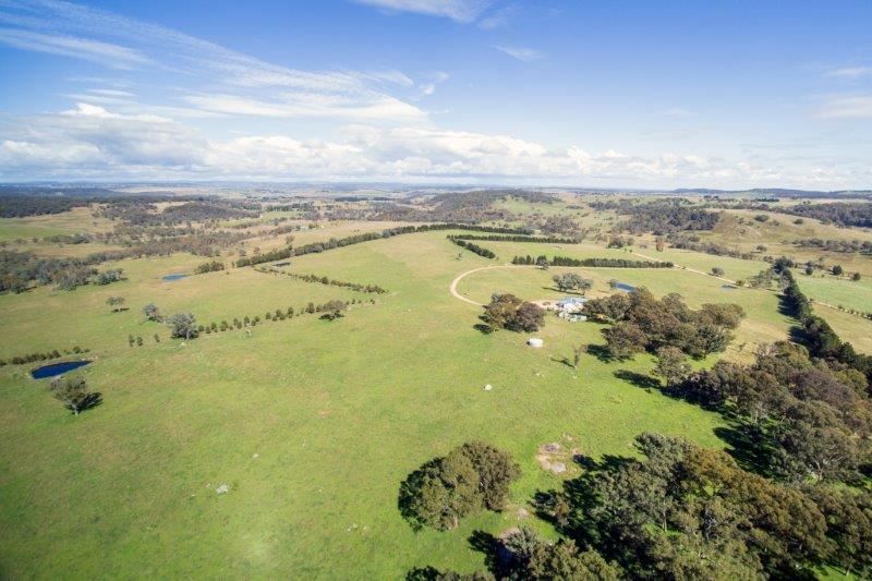 "Collydale/1872 Shannon Vale Road, via, Glen Innes NSW 2370, Image 0