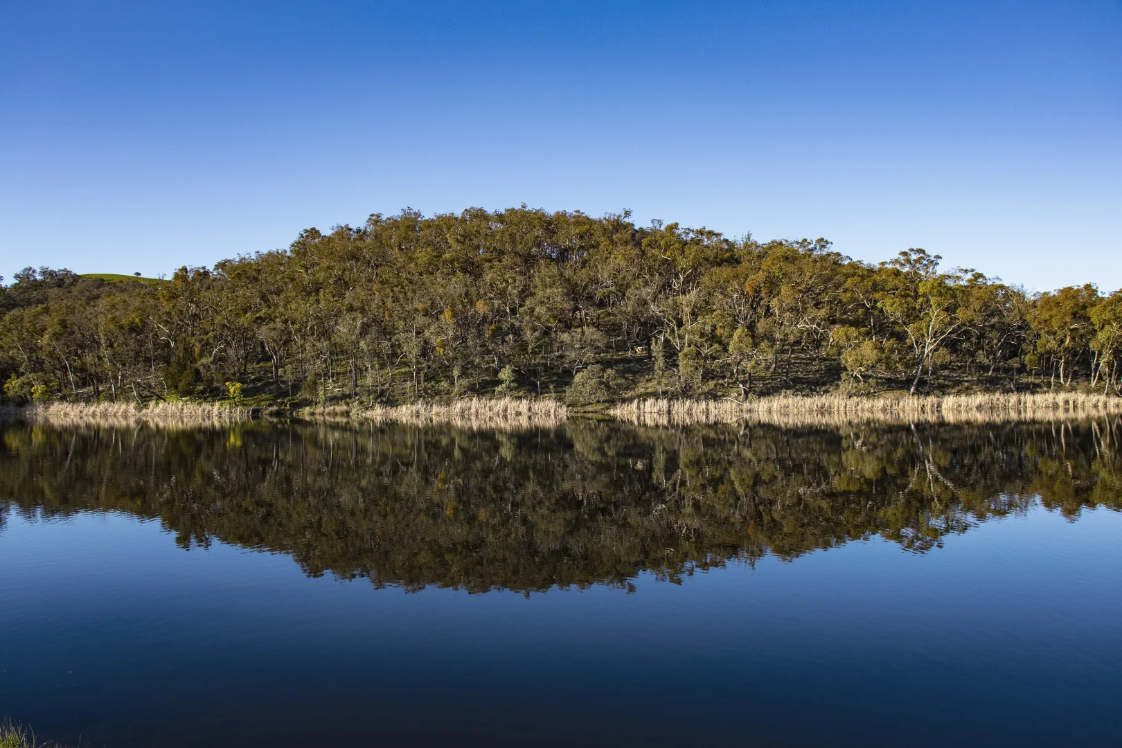Additional image 24 of 180 Golden Point Road, Golden Point VIC 3451