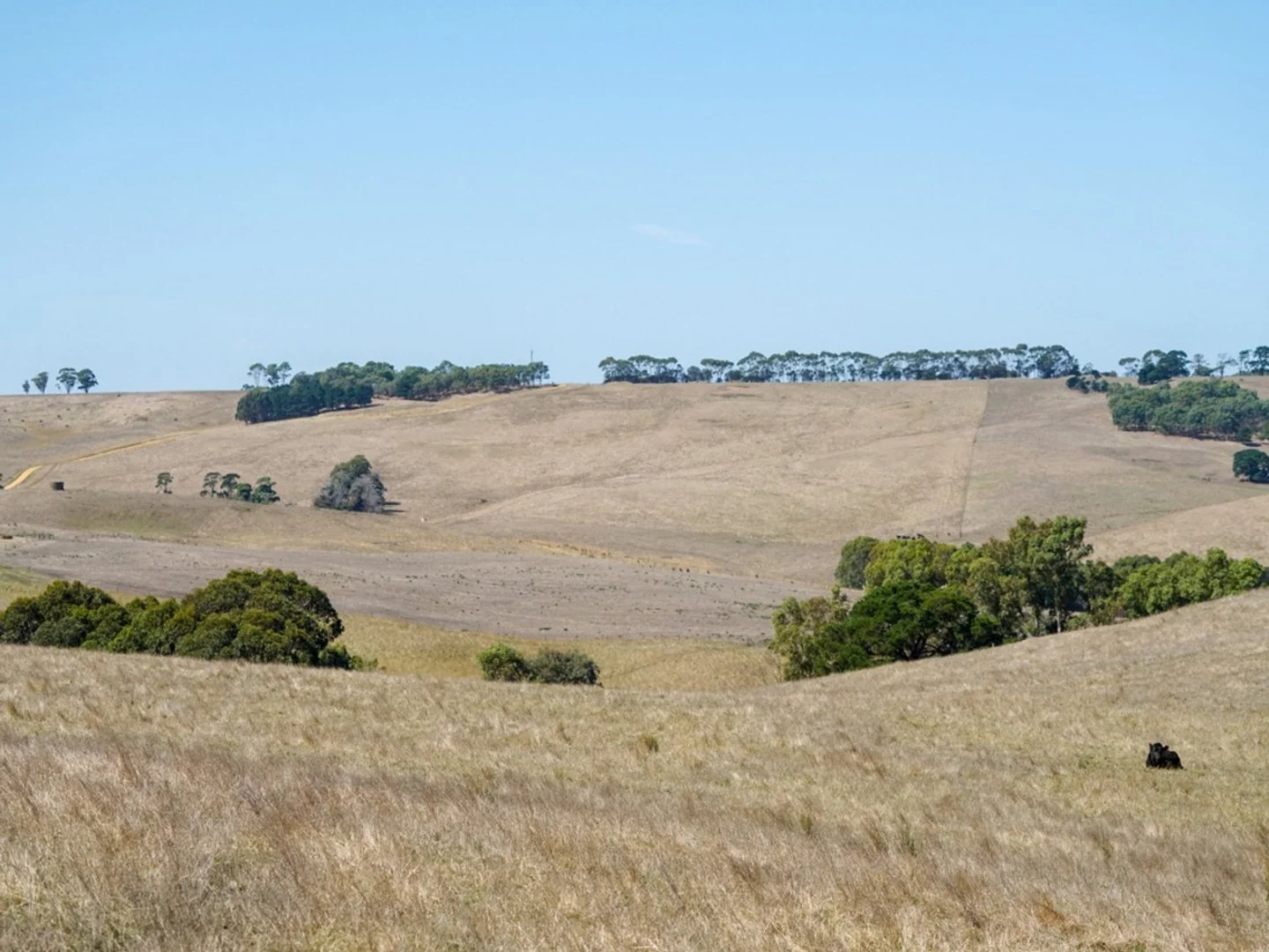 Image 13
