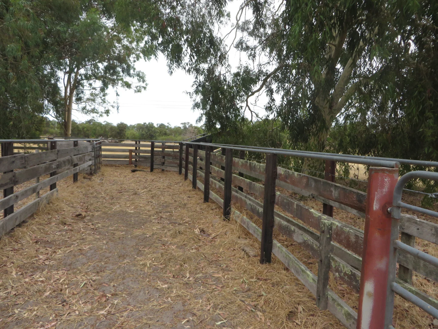 Additional image 12 of Buller Road, Waroona WA 6215