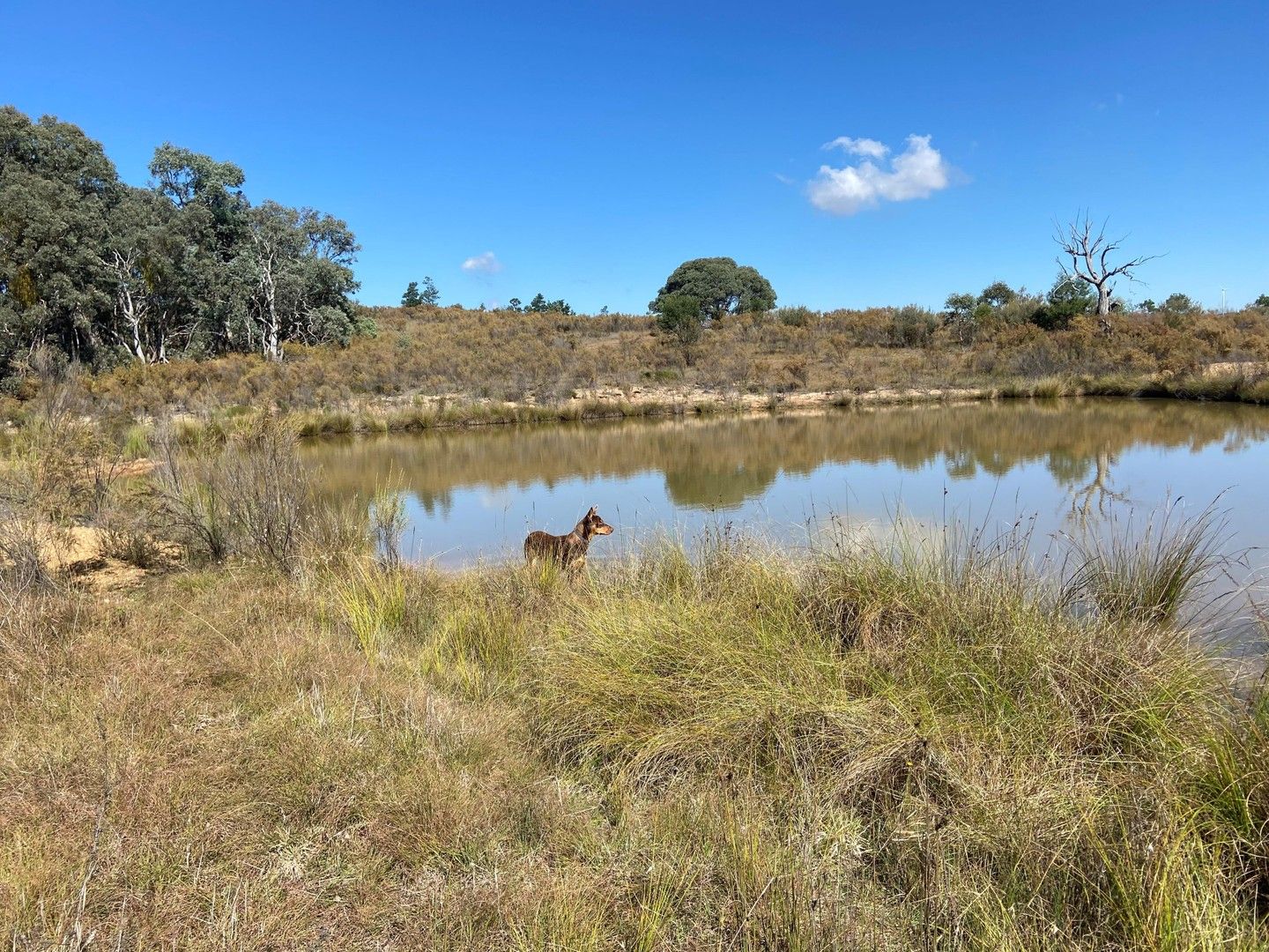 Rural in Lot 127 Kiowarra Road, BEVENDALE NSW, 2581