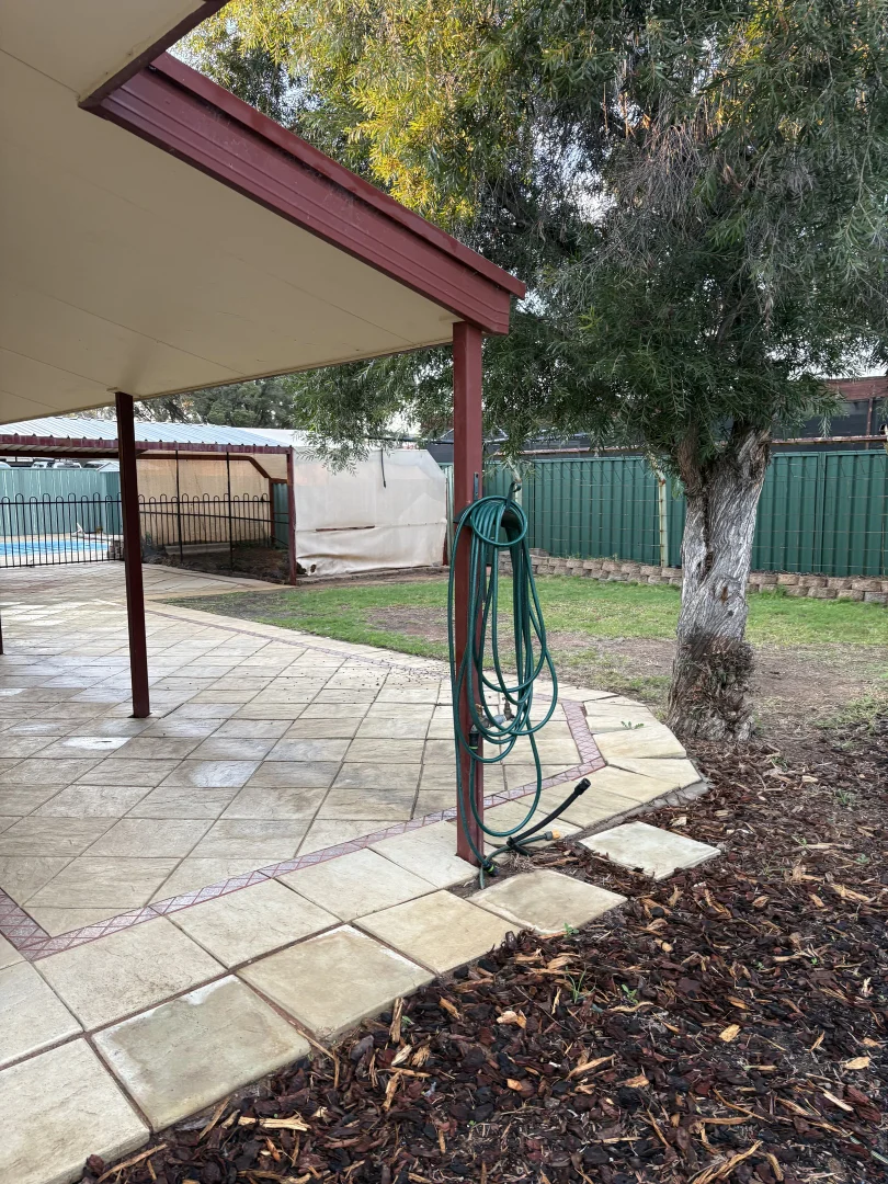 Image 22