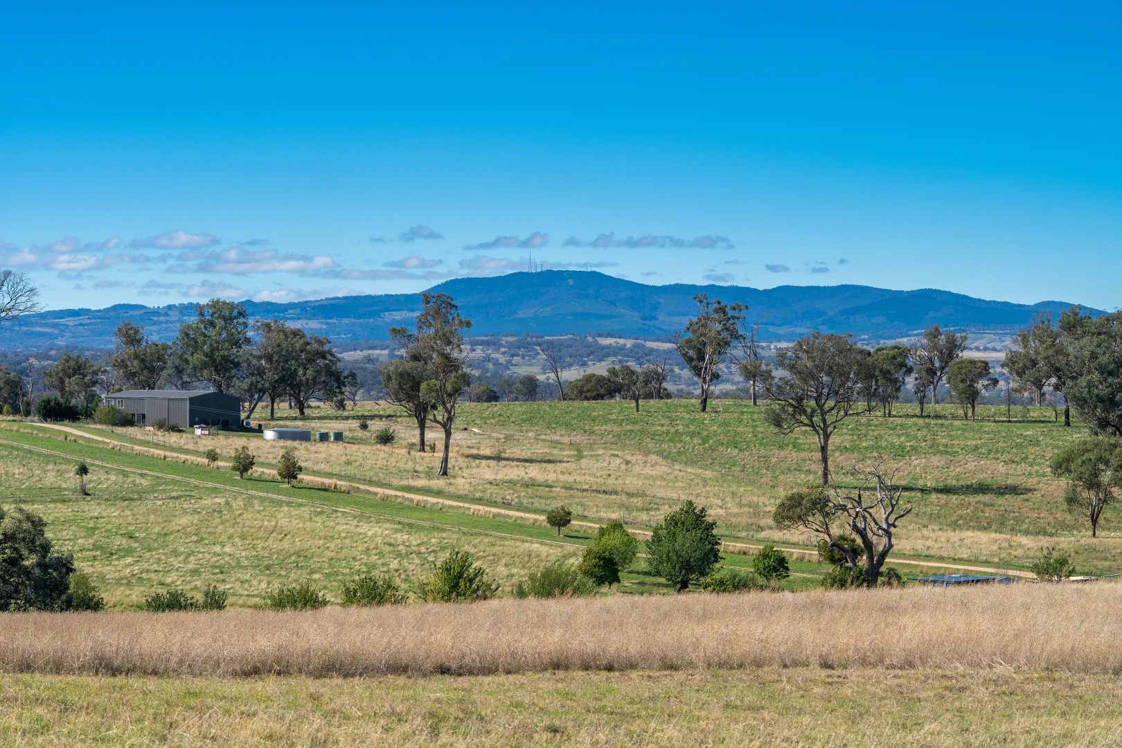 Additional image 5 of 614 Peabody Road, Molong NSW 2866