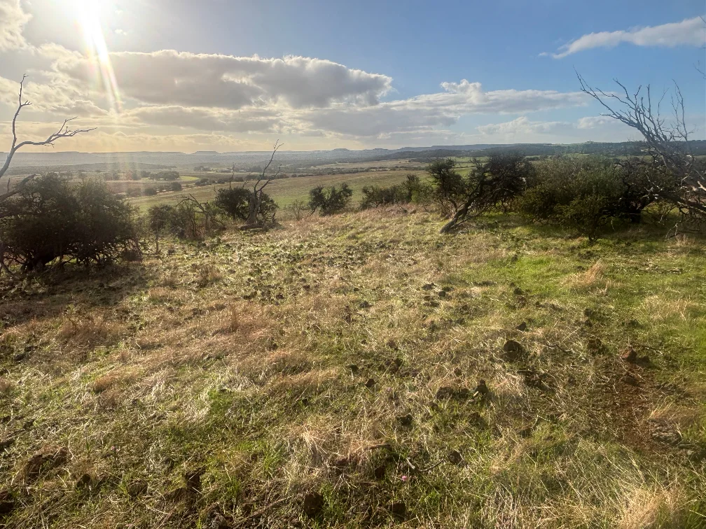 Image 13