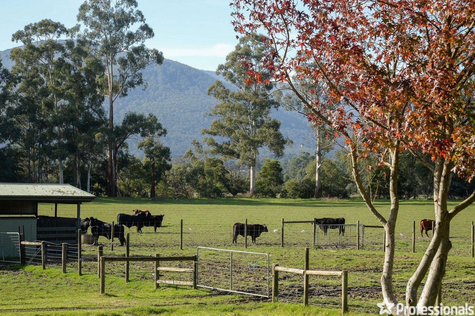 7 Alpine Boulevard, Launching Place VIC 3139, Image 0