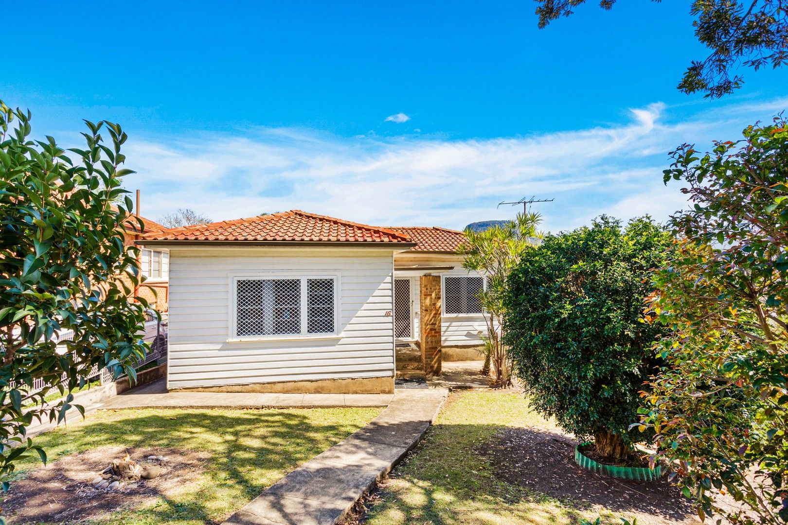 3 bedrooms House in 16 Dudley Street WOLLONGONG NSW, 2500