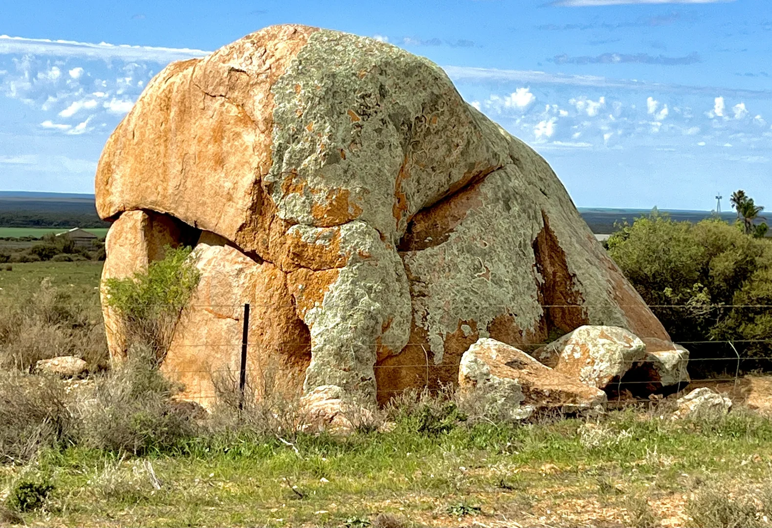 Image 31